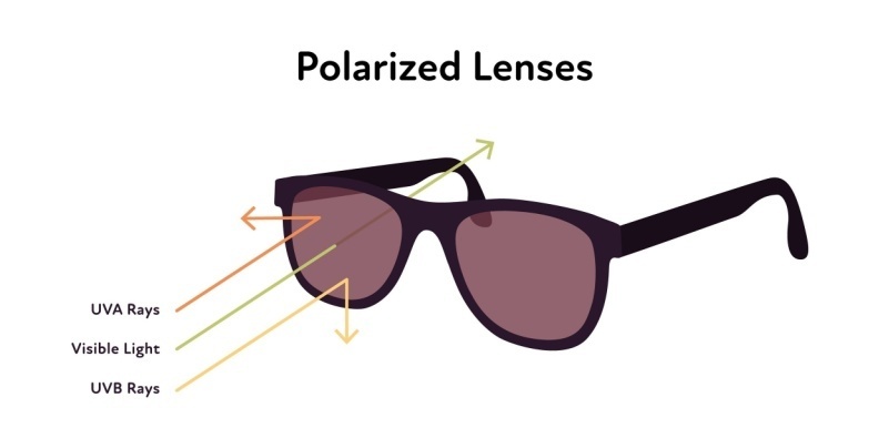 What are polarized lenses