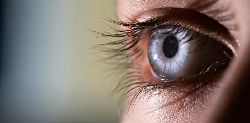 Close-up of a blue-grey eye